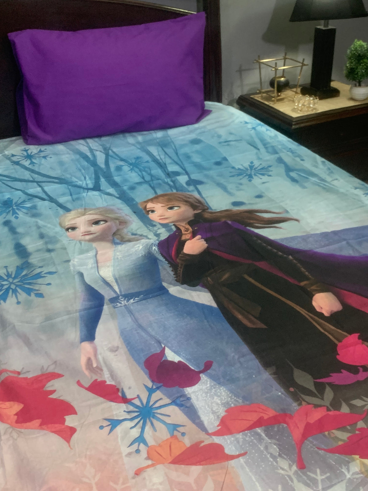 Single bedsheet DC-5221