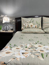Bedsheet DC-6906